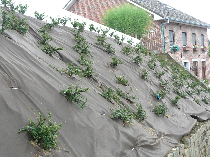 Ekotextilie Agrotex EKO+